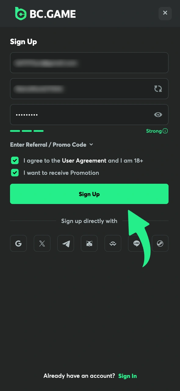 Fill in your details to complete the affiliate profile for BC Game.
