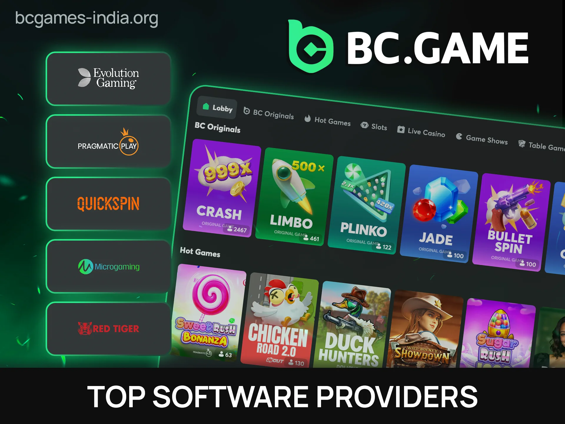 Play titles from top software providers for casino gaming on BC Game.