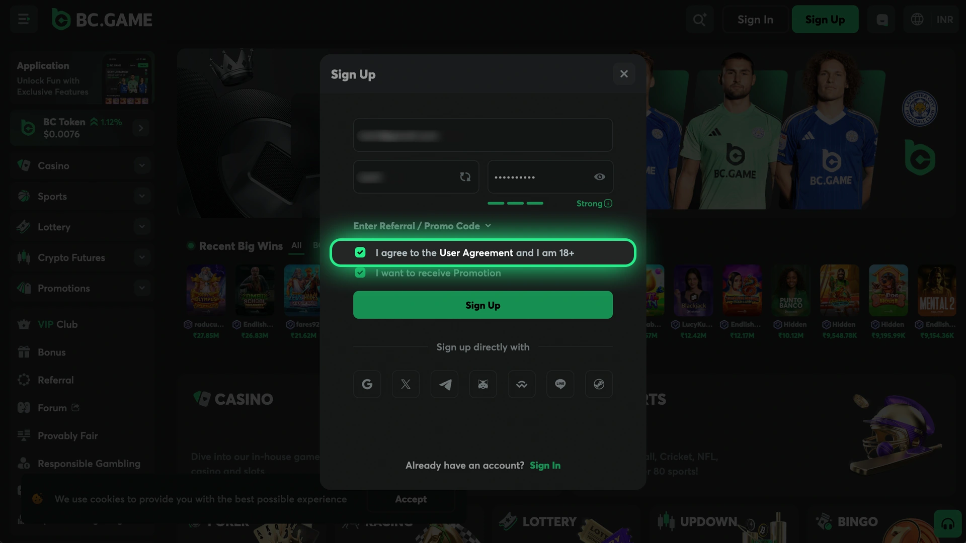 Accept terms of the platform to proceed with BC Game registration.