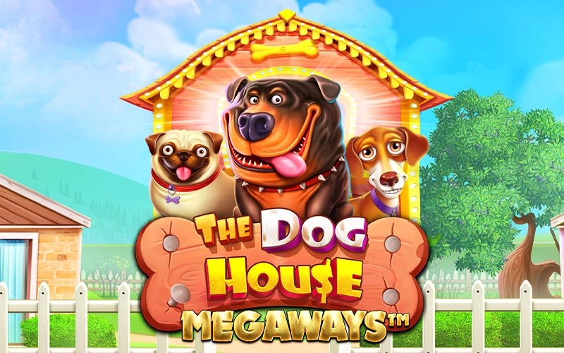 Hit the jackpot in The Dog House Megaways by playing BC Game.