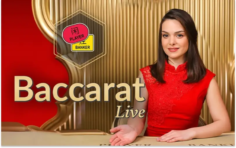 Experience premium real-time card dealing while playing high-stakes live baccarat on BC Game.